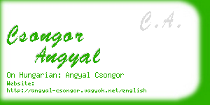 csongor angyal business card